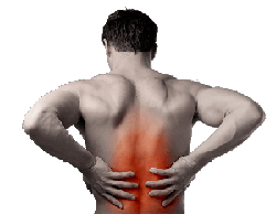 Lower Back Pain